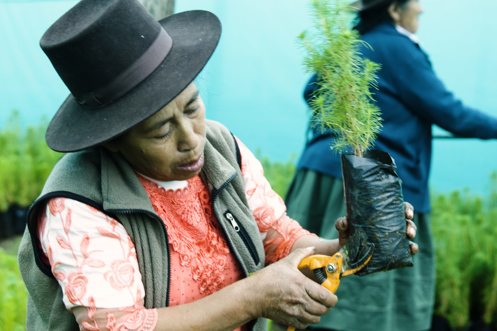 peru-foundation-final